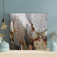 Foundry Select Cactus Plant 1 - 1 Piece Square Graphic Art Print On Wrapped Canvas