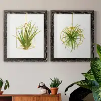 Mercer41 Hanging Airplant II-Premium Framed Canvas - Ready To Hang