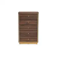 Lefancy.net Lefancy  Cormac Mid-Century Modern Transitional Wood and Metal 5-Drawer Storage Chest