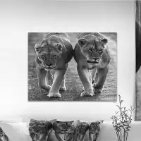 Made in Canada - East Urban Home Animal 'Lions in Black and White' Photograph