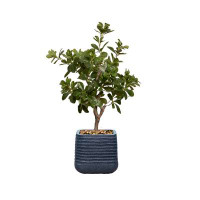 Vintage Home 38.57" Artificial Tung Tree in Planter