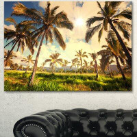 Made in Canada - Design Art 'Beautiful Palm Plantation in Hawaii' Photographic Print on Wrapped Canvas